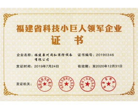 科技小巨人